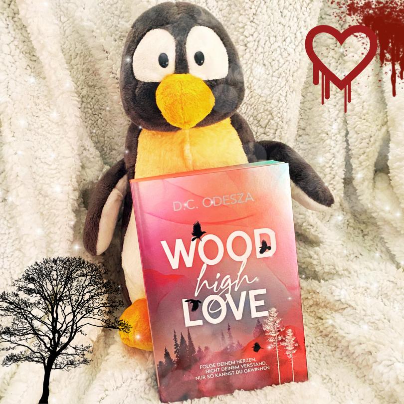 Rezension von Lesepinguin | D.C. Odesza »WOOD High LOVE« | spannender Liebesroman mit Thrill